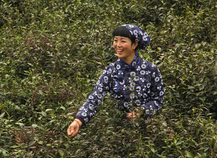 香烟女郎